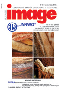 BUSINESS IMAGE 135 - 06/07.2013 r.